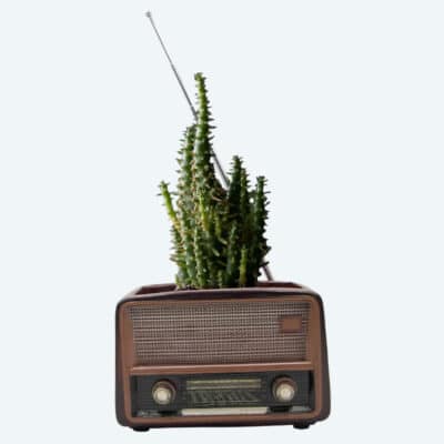 Blumentopf Radio frontal