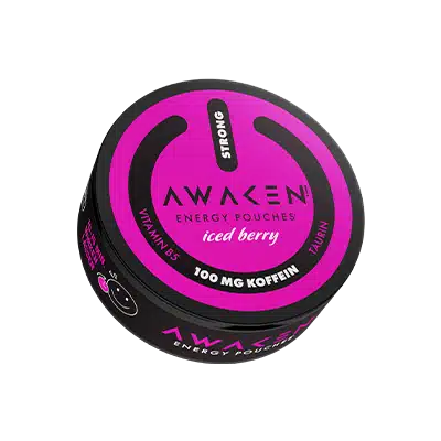 WS2026_Das_ist_drin-Awaken